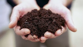 https://www.goodhousekeeping.com/home/gardening/a20705682/soil-testing/
