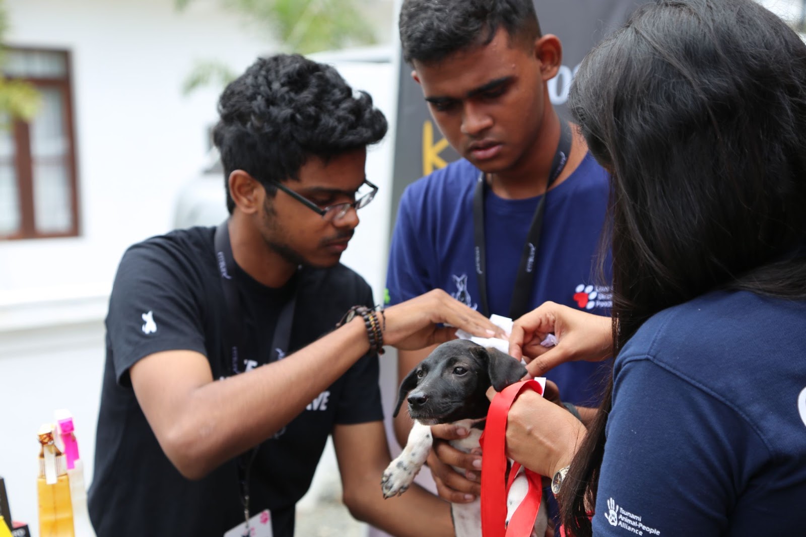 Embark volunteers at an adoption drive holding a puppy.