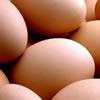 https://cdn1.healthaliciousness.com/articles/images/eggs.jpg