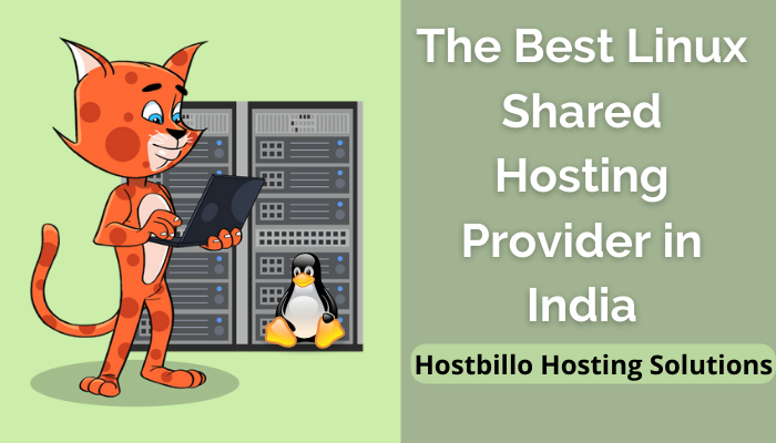 The Best Linux Shared Hosting Provider in India- Hostbillo
