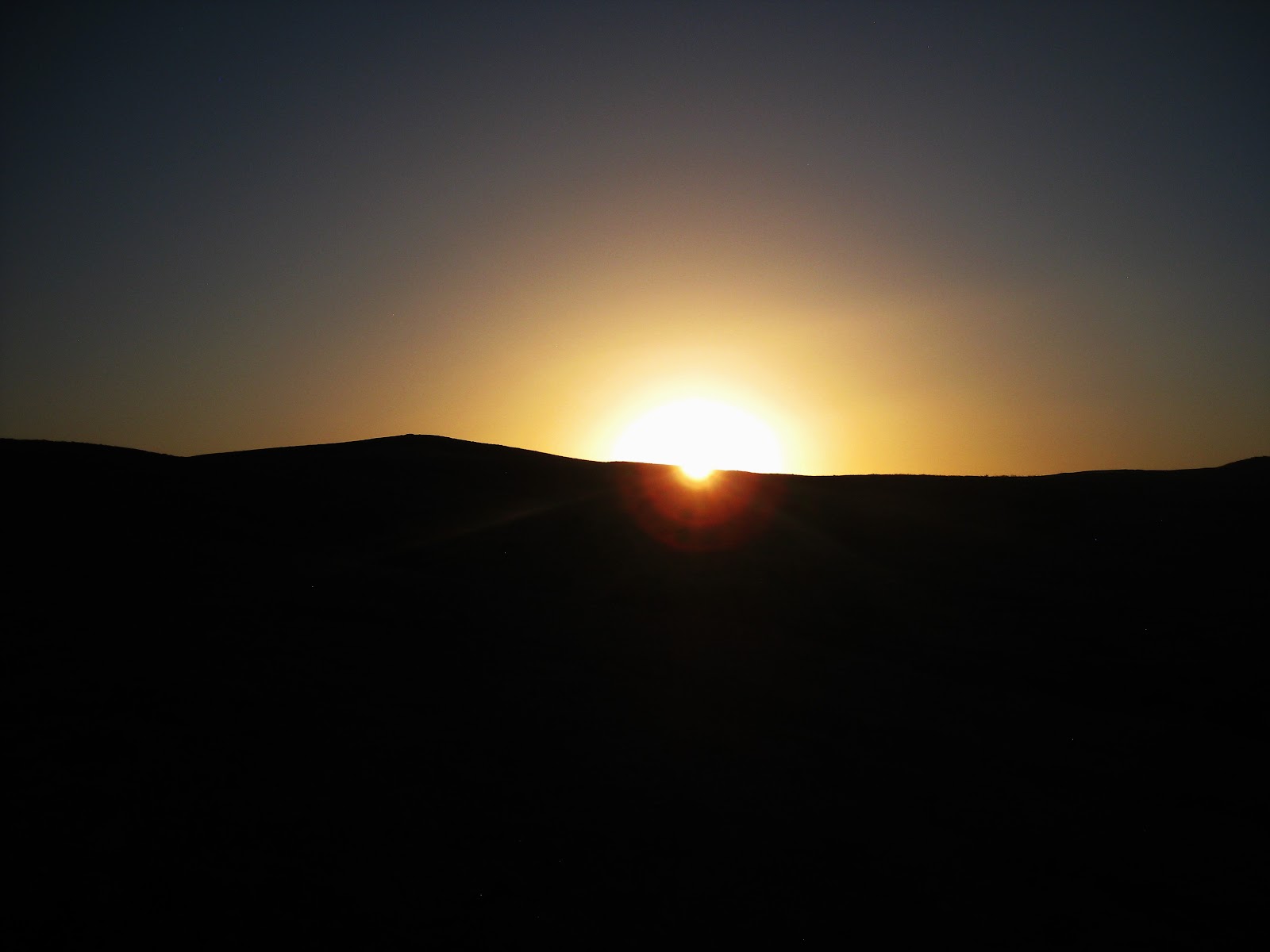 IMG_8775.JPG