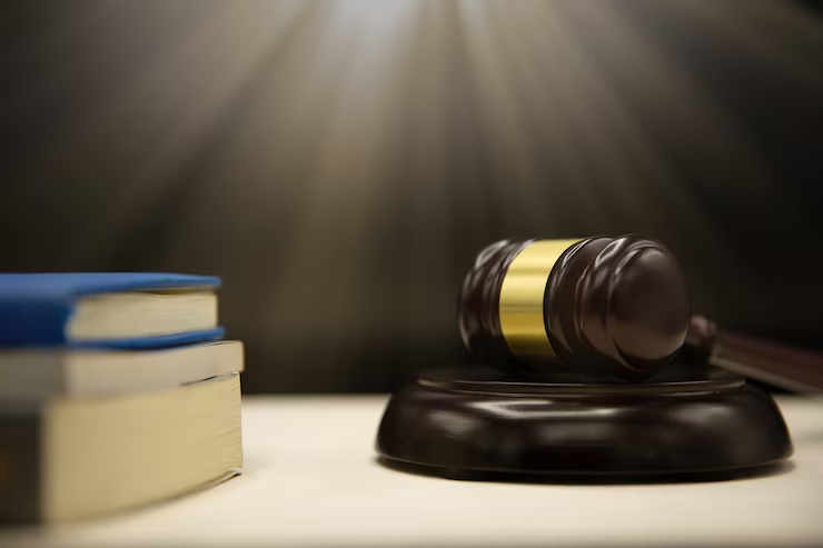 Judge's gavel on a law book.