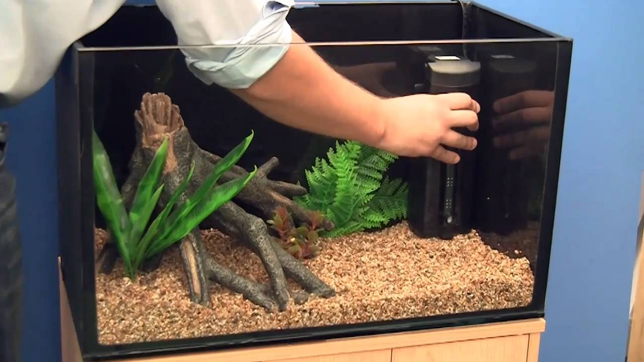 Aquarium setup