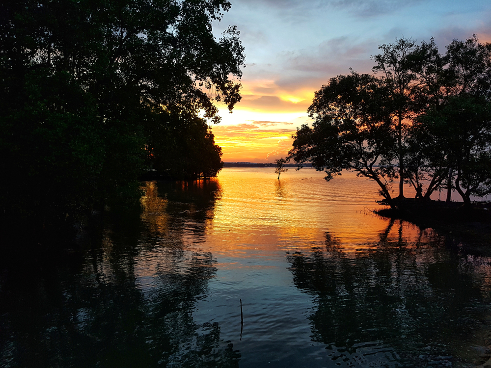 Sunset Singapore Pasir Ris Park