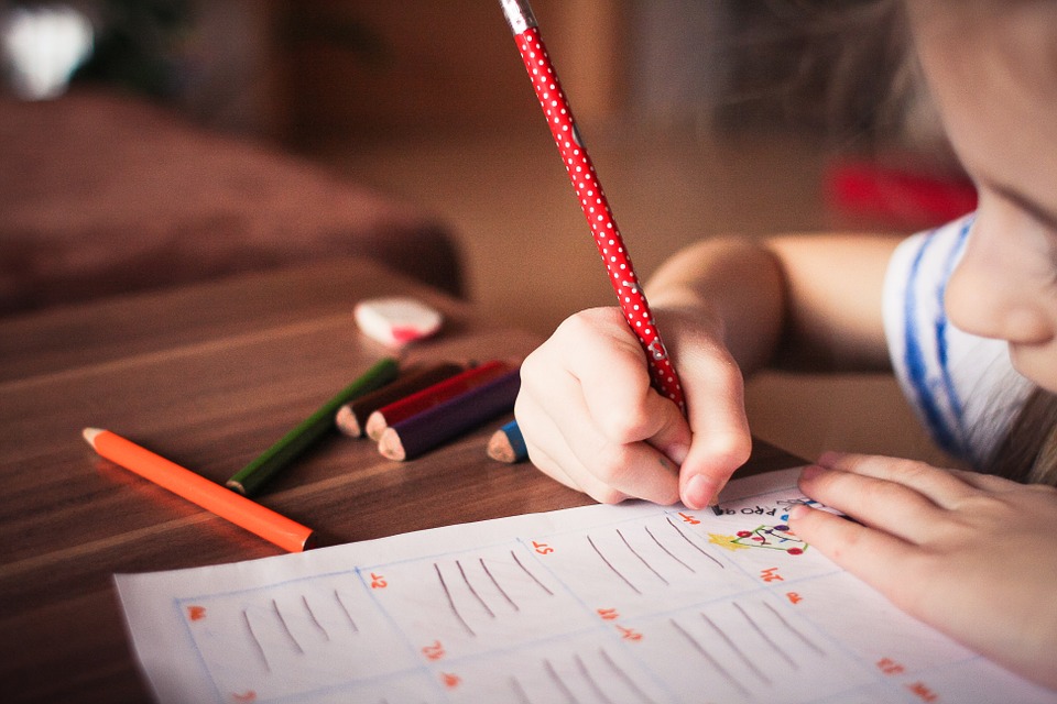 Child, Kid, Play, Tranquil, Study, Color, Write, Learn