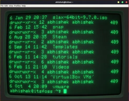 Cool Retro terminal Linux
