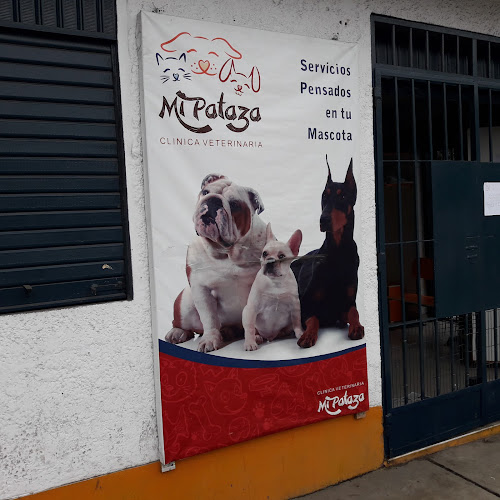 Mi Pataza Clinica Veterinaria - Chorrillos