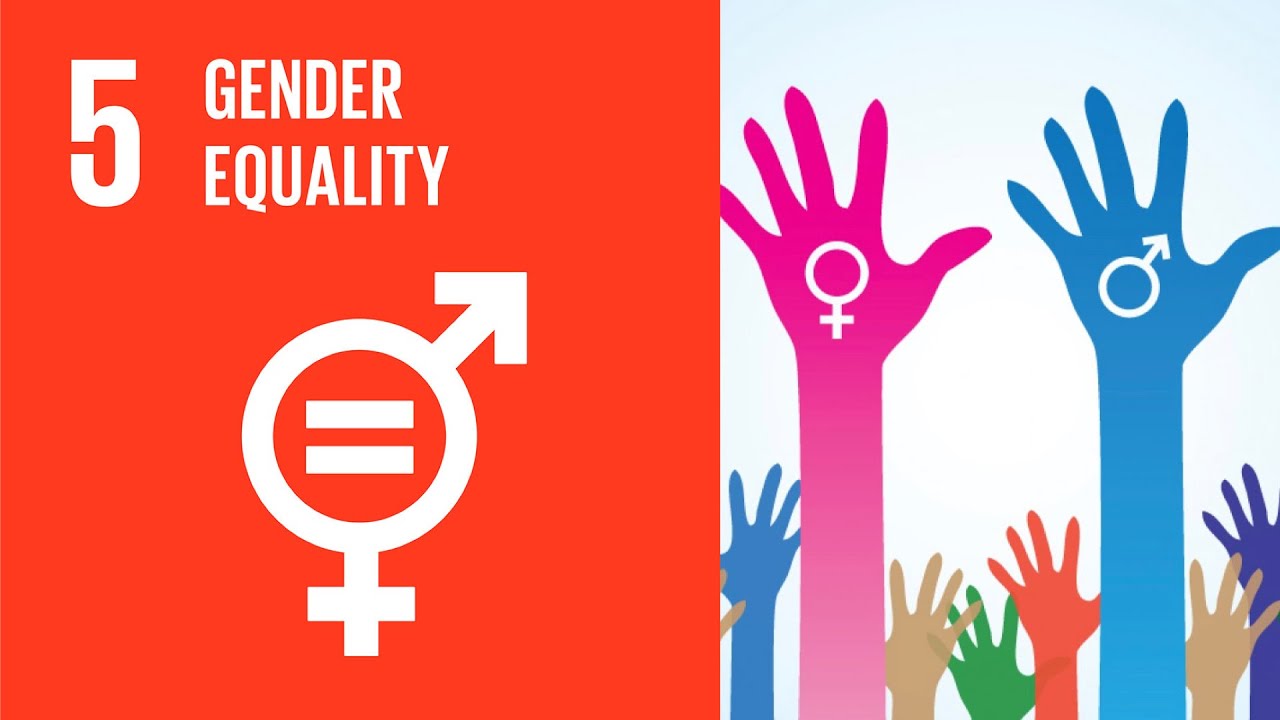 UN Sustainable Development Goals | Gender Equality (5) - YouTube