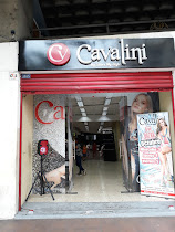 Catálogo Cavalini