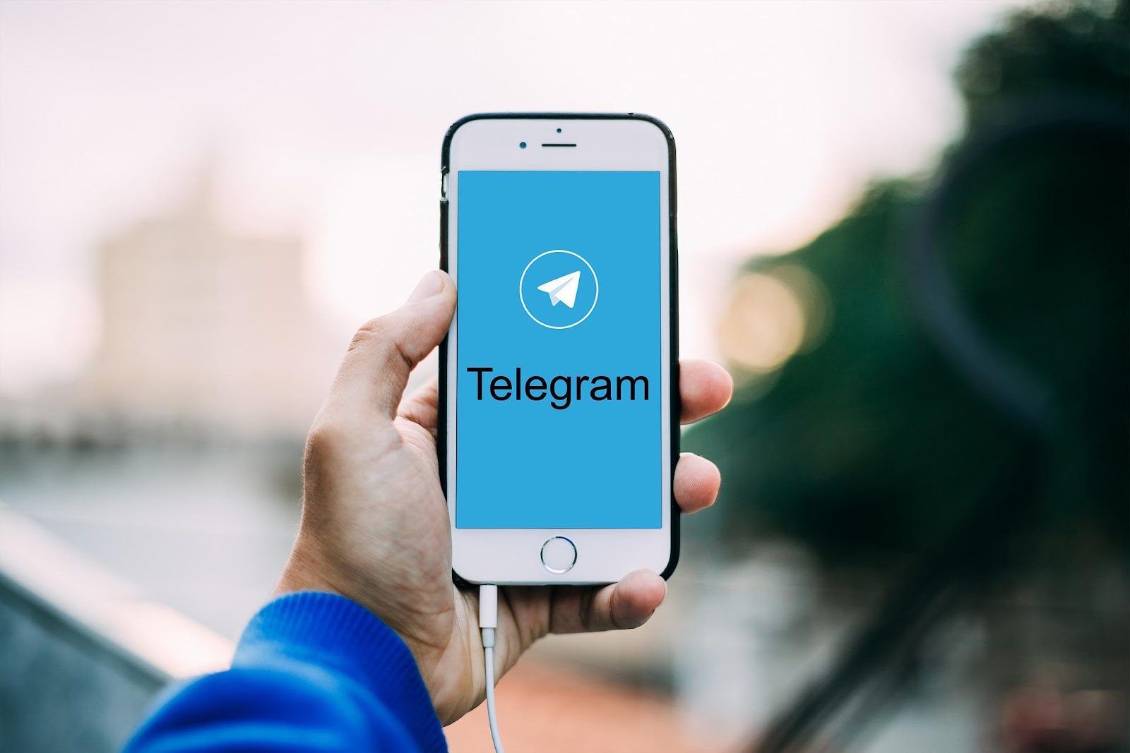 How To Make A Poll On Telegram