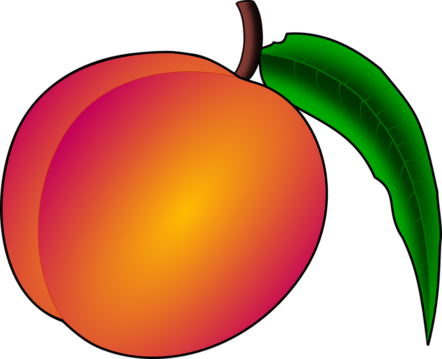 Nectarine - Free pictures on Pixabay