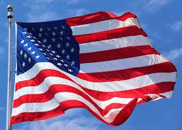 Image result for image of flag