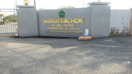 Mardi Bachok