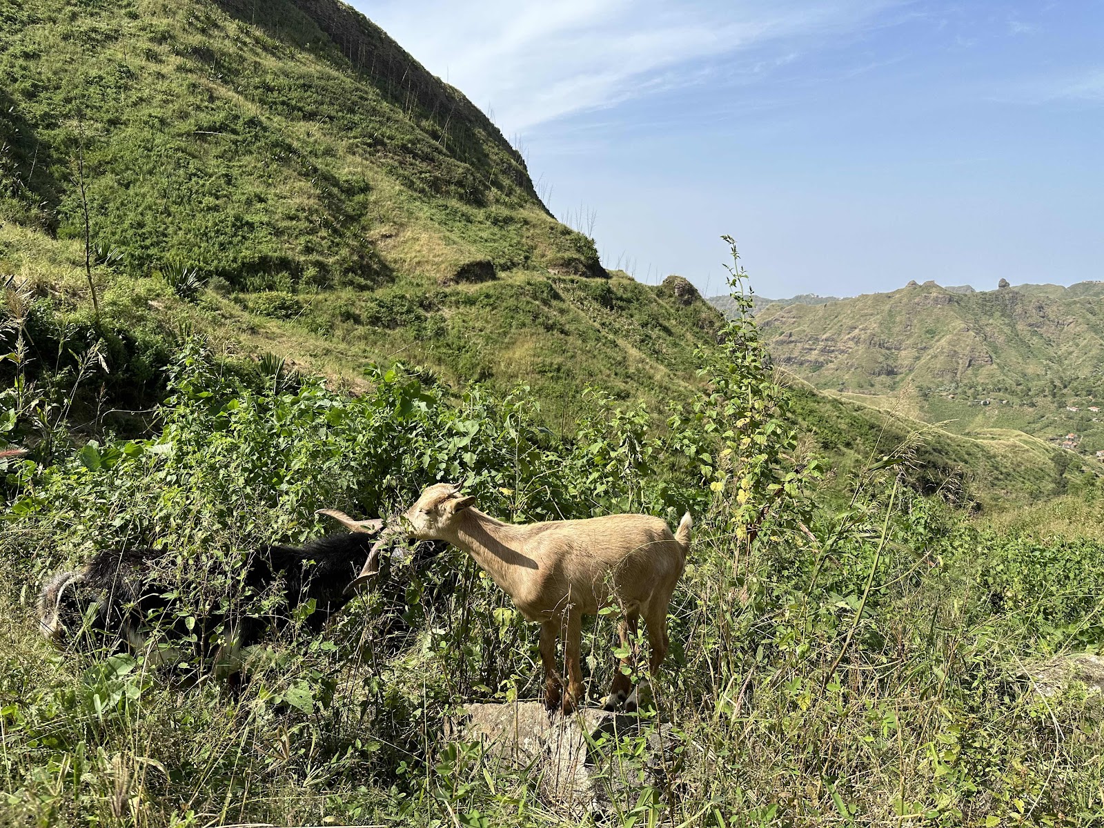 Serra Malagueta, Santiago, Cabo Verde