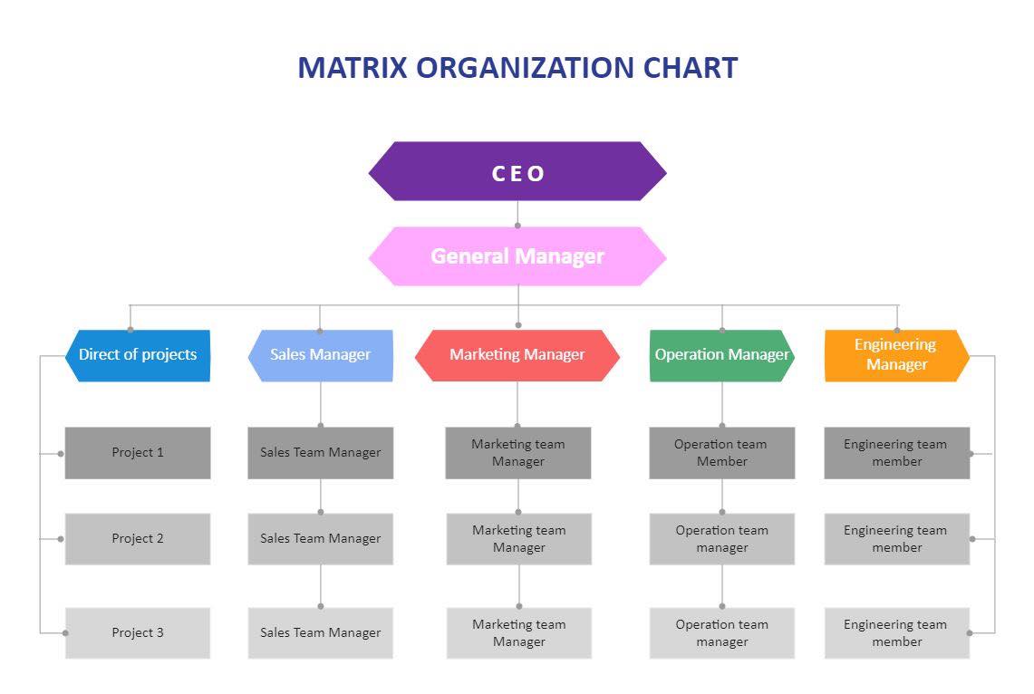 what is a matrix organizational structure
