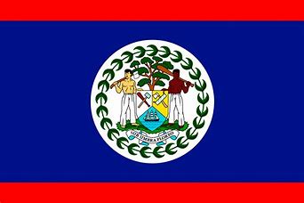 Image result for Belize flag