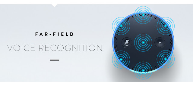 Voice Recognition Feature of Amazon Echo