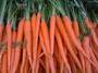 Organic Carrot Tendersweet
