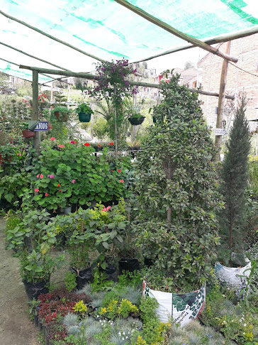 Opiniones de Viveros Ximena en Cuenca - Centro de jardinería