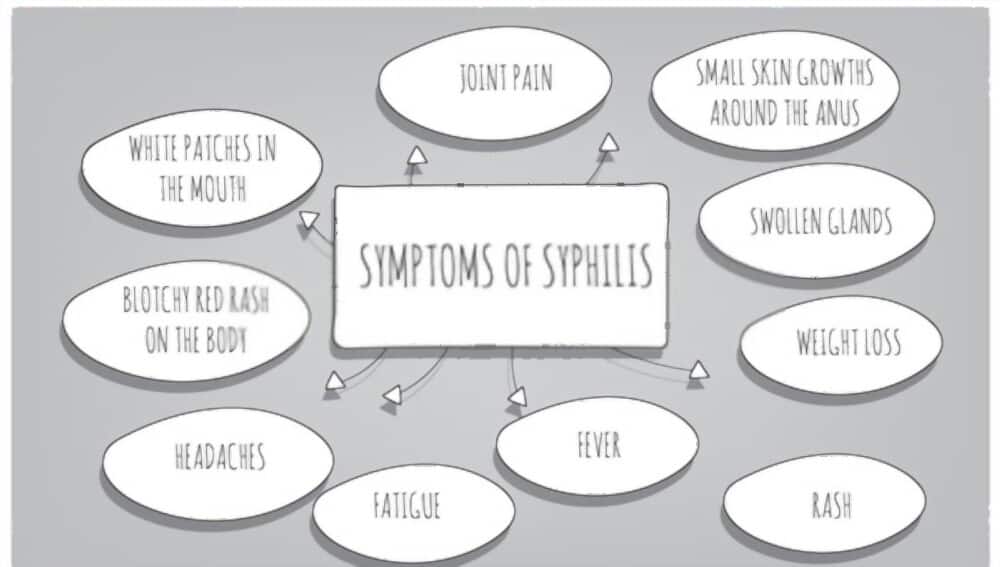 Syphilis  symptoms