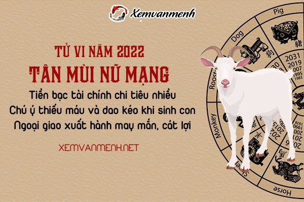 tu-vi-tuoi-tan-mui-nam-2022-nu-mang-1991