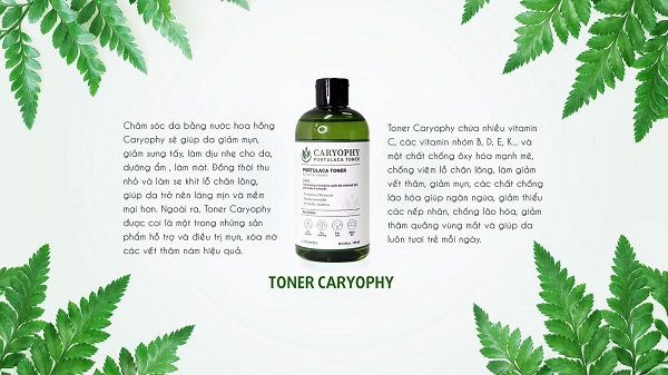 Toner Caryophy