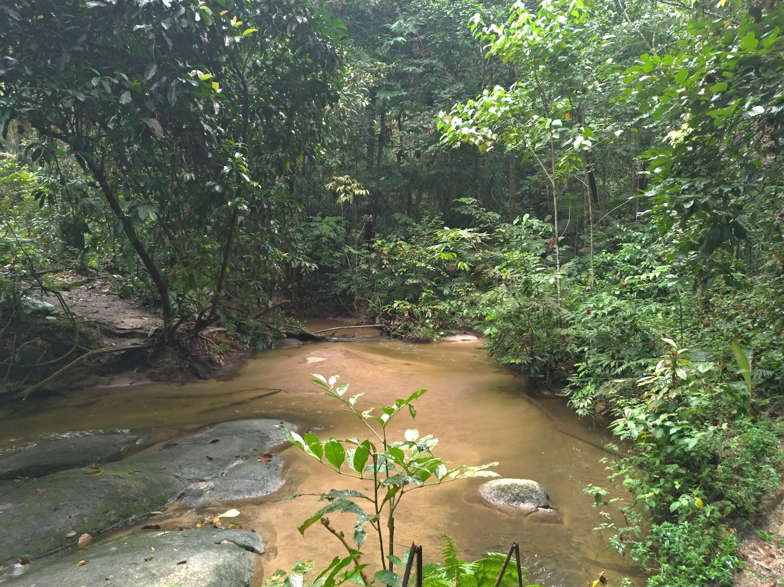 馬來西亞 自行車 腳踏車 行程 旅行 心得 吉隆坡 Sungai Tekala Recreational Forest