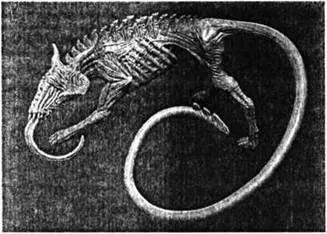 D:\0 wd yedek\acr yedek\1 film indirme\forbidden_magic_ancients_12_dosyalar\image029.jpg