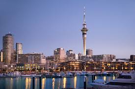 Image result for Auckland city cared for