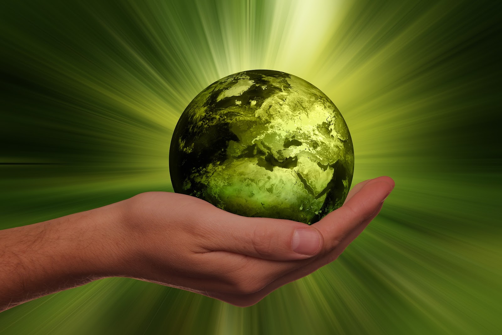 Person holding a green globe