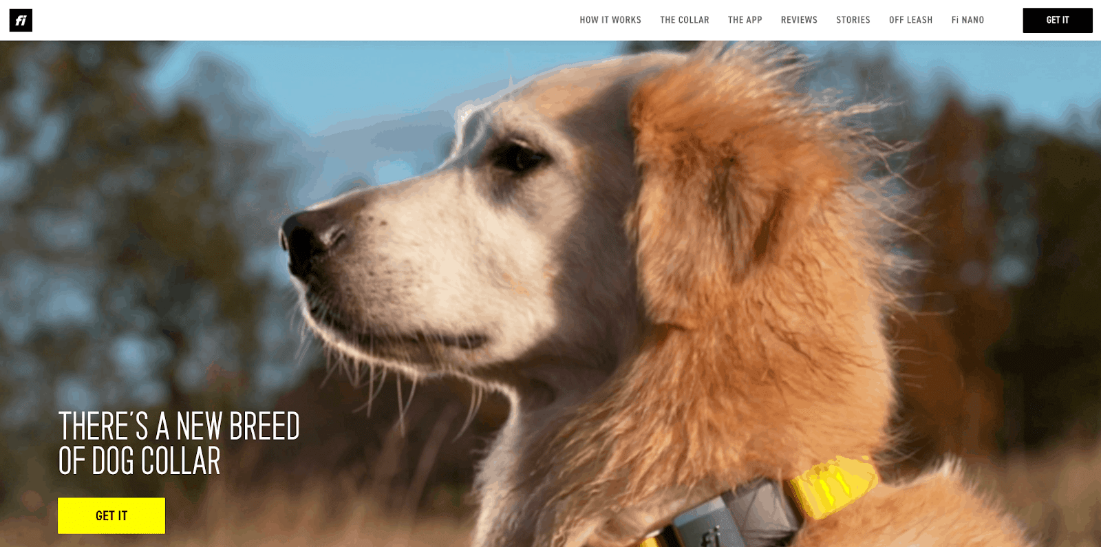 Fi Dog Collar home page
