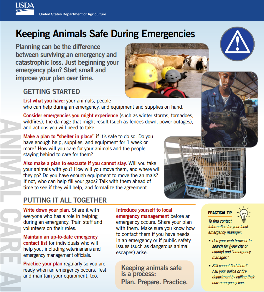 One role of USDA certified pet travel professionals is having a thorough emergency plan.