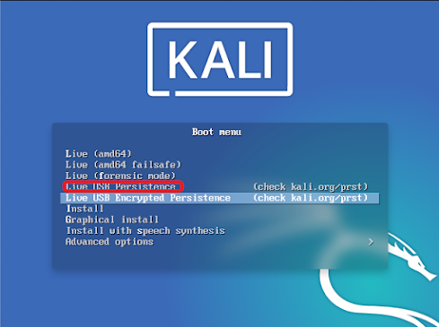 kali linux live usb persistence.