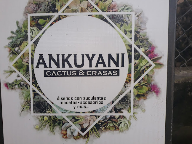Opiniones de Ankuyani Cactus&Crasas en Cuenca - Centro de jardinería