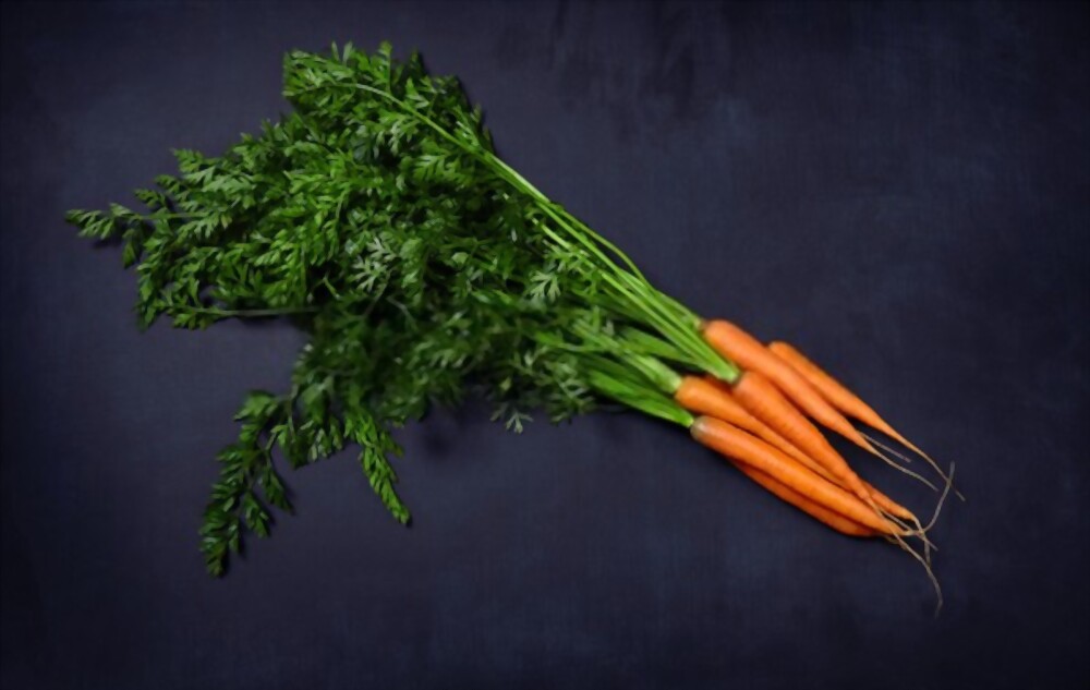 Carrot Greens Lectin Free