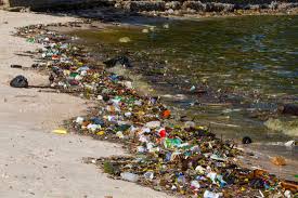 Image result for water  pollution