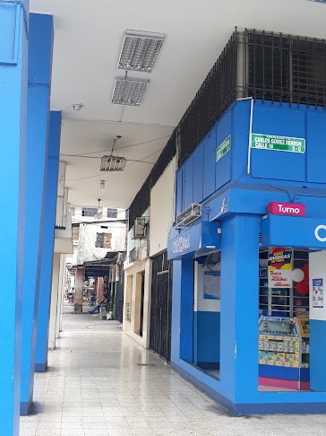 Unidad Educativa Particular San Joaquín y Santa Ana - Escuela