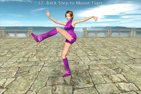 Download 3D Tai Chi Chuan 42 Forms apk