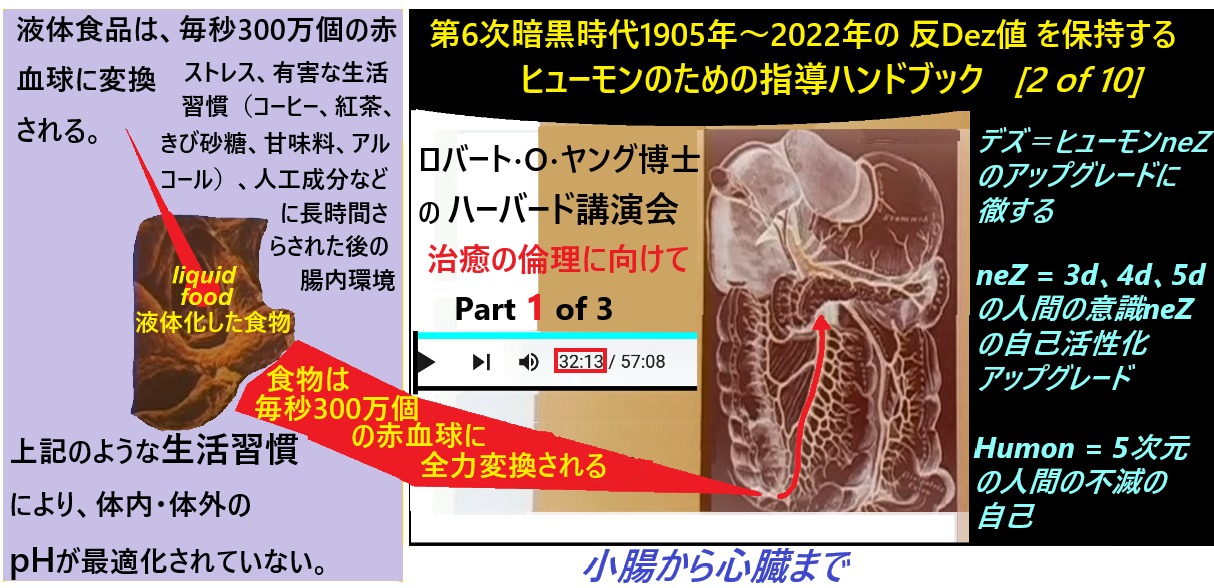 真の免疫力は「アルカリバッファリングシステム」から始まる!