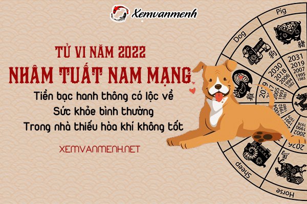 tu-vi-tuoi-nham-tuat-nam-2022-nam-mang-1982