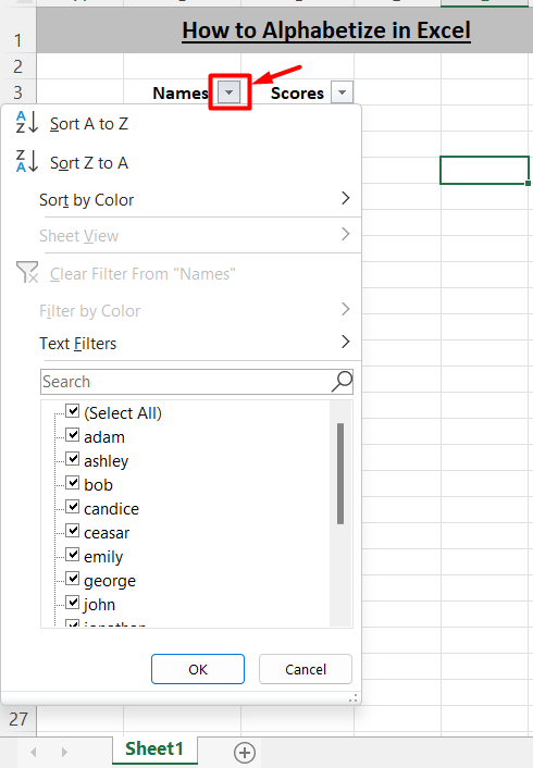 how to alphabetize in Excel- list of sorting options