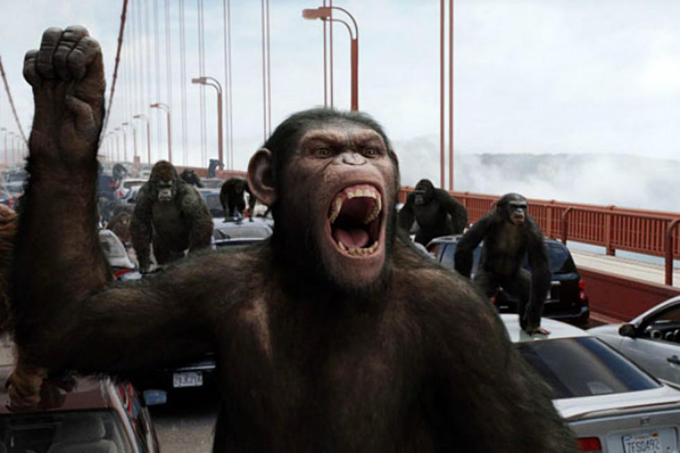 Image result for mob monkey