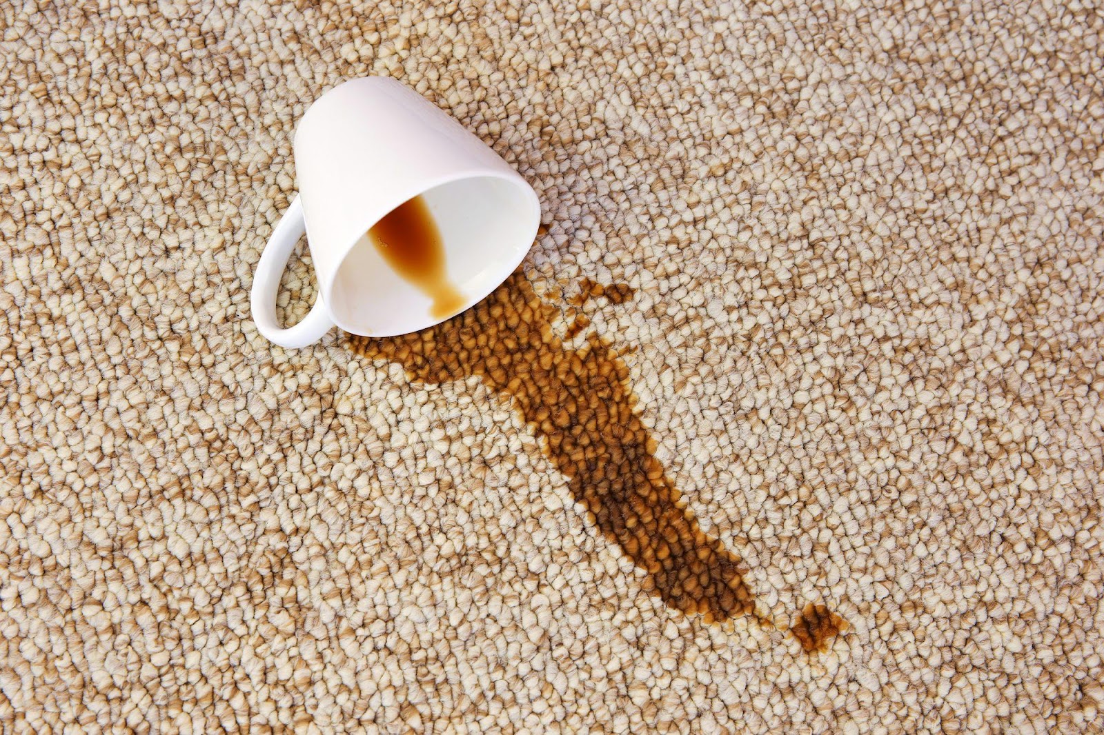 How to Get Coffee Stains Out of Everything | Allrecipes