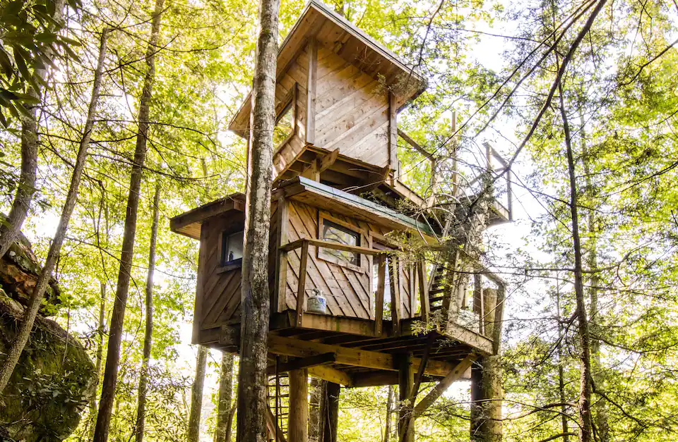 Observatory Tree House - Secluded Canopy-High Living at Red River Gorge, Kentucky