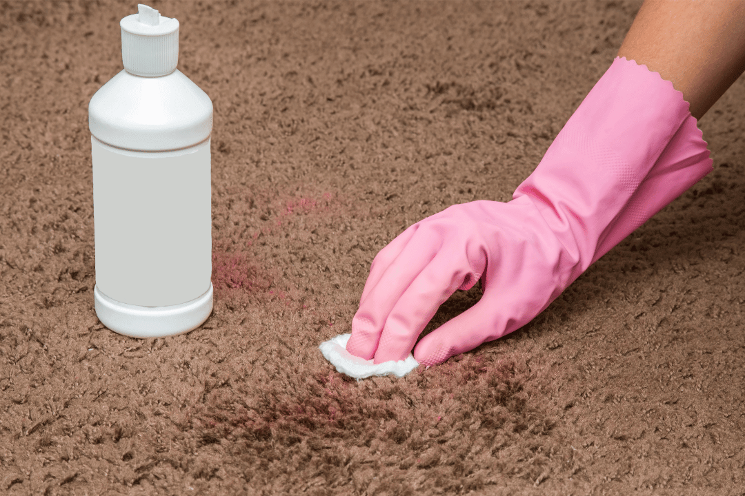 carpet spot removal using cleaning solution and sponge