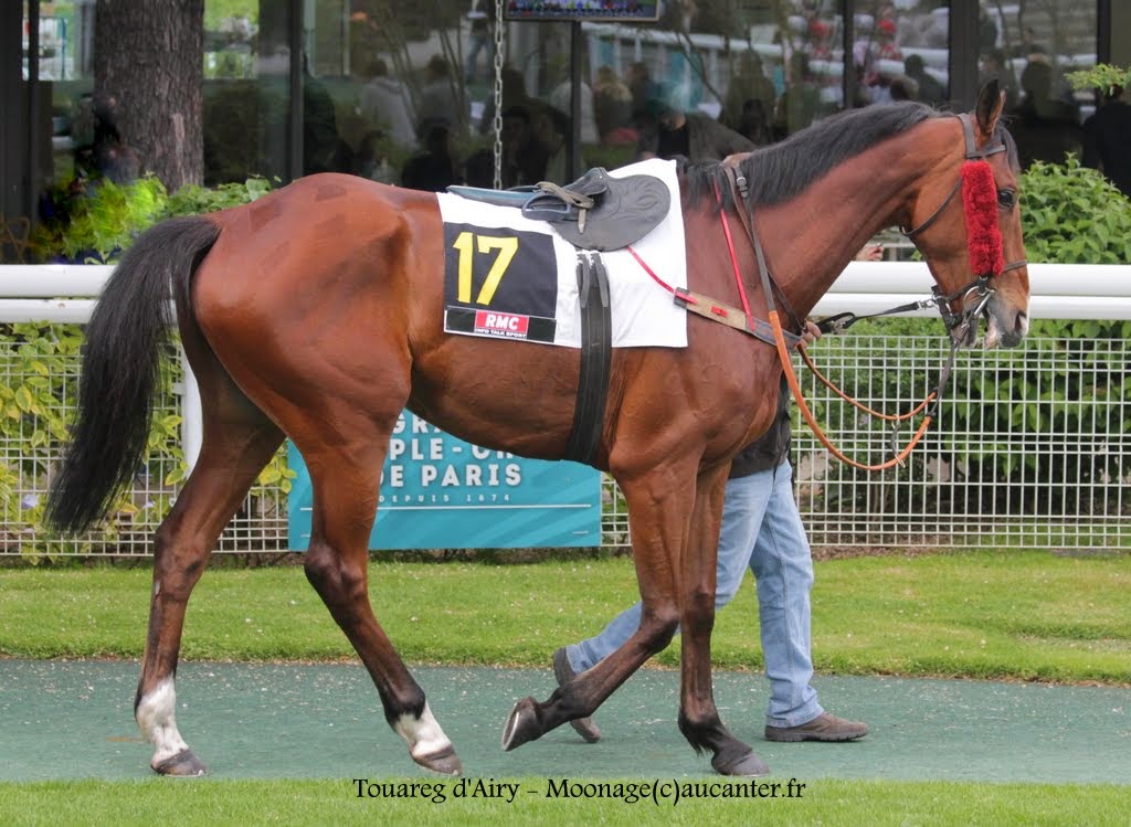 Photos Auteuil 16-05-2015 Week-end printanier de l'obstacle - Page 2 T-cS9c3xlpVw76EzxYCkNoas9FmHAyo8L1tyTK_TKdE0=w1024-h749-no