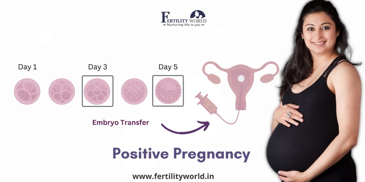 IVF success rate from the best IVF Doctors in Ahmedabad