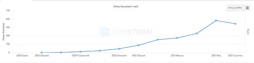 Case study – branża meblowa (Google Ads, SEO) - zdjęcie nr 6