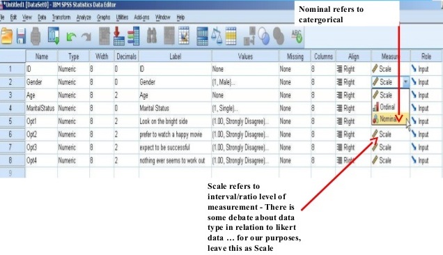 Screenshot of SPSS software, showing Data Set with Measures column/cell options showing Scale/Ordinal/Nominal.