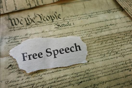 Media Law & Literacy: WEEK 6: Eight Values of Free Expression